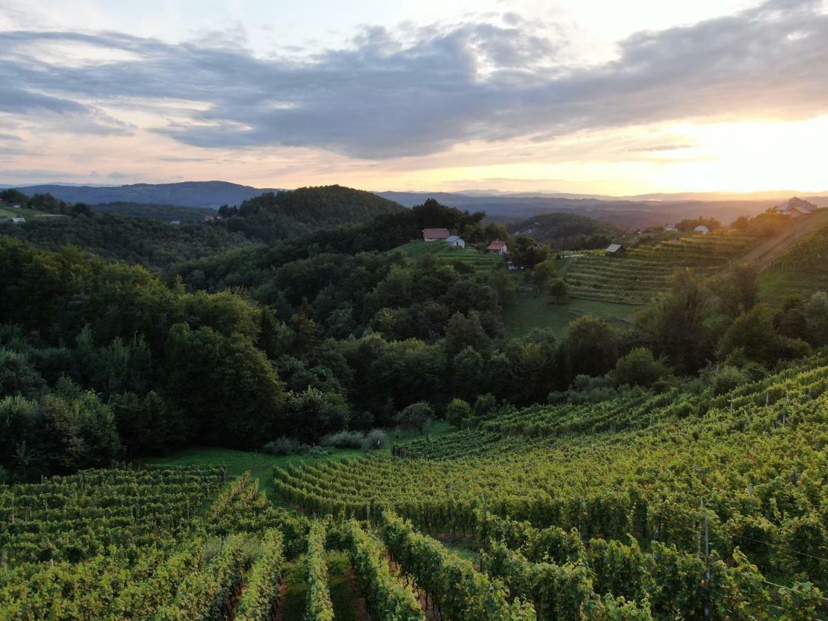 Vineyard Cottage Urban Mirna Экстерьер фото
